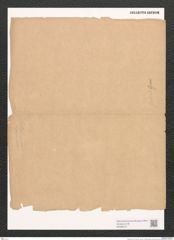 Navicula sp. (de-Toni-Nr.: Genus 1) Zeichnungen Sammlung Grunow (NHMW-BOT-W0368151)
